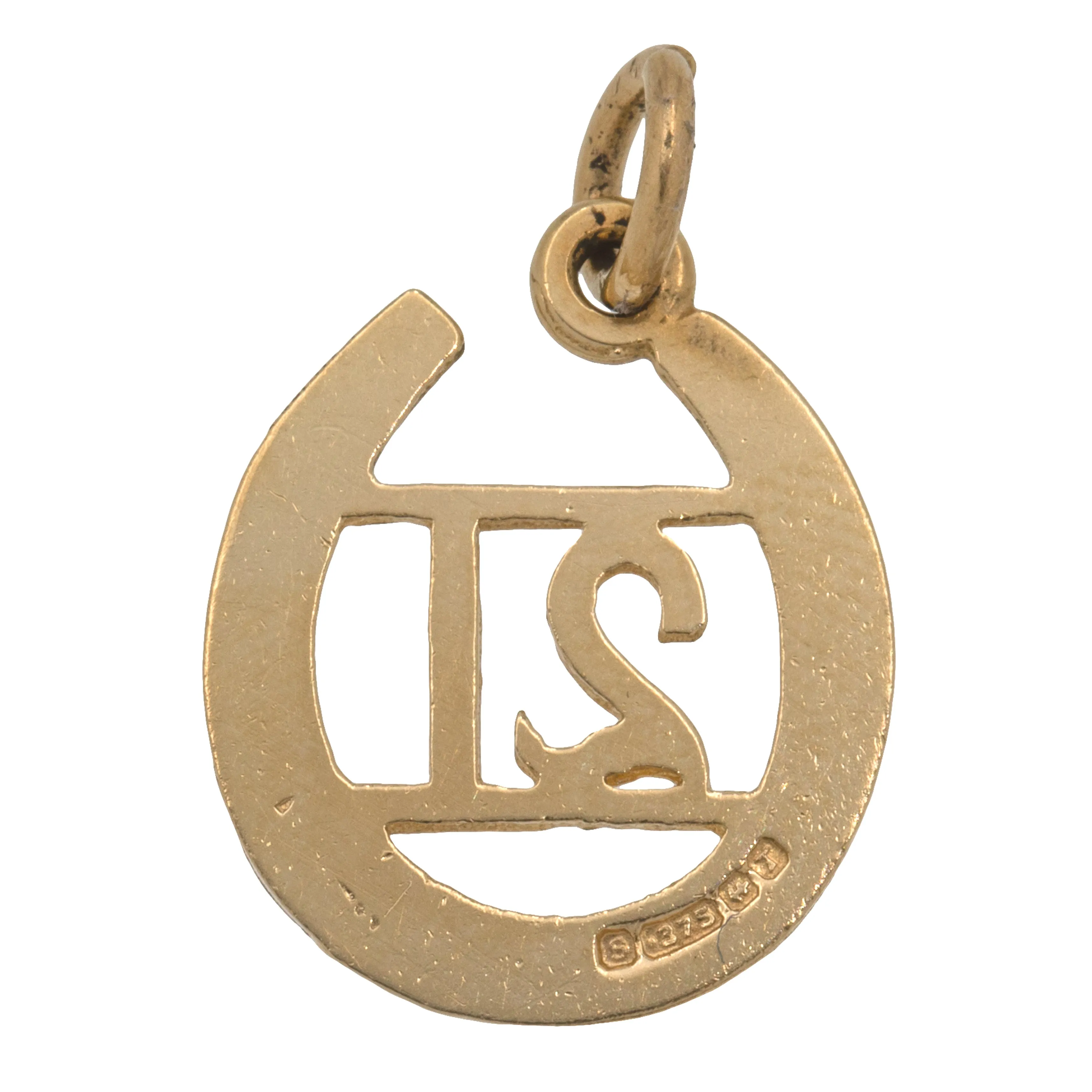 9ct Gold 21 Horseshoe Pendant